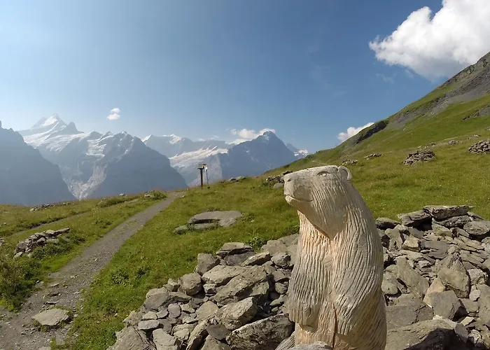 Apartman Almis Sunna